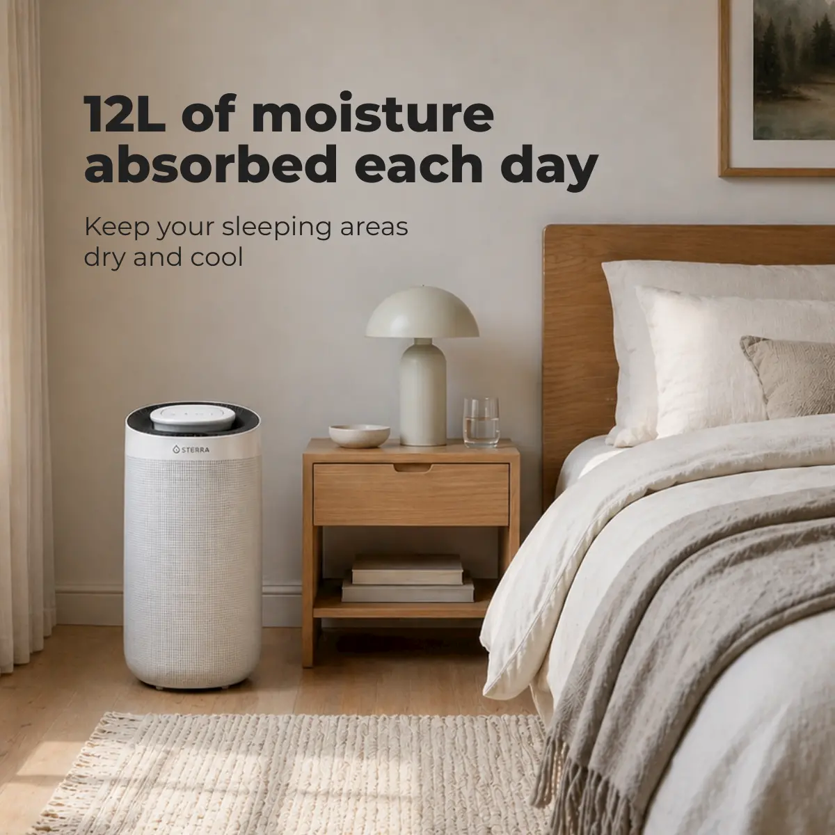 Sterra Sun™ Dehumidifier - Image 5